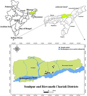 Hydrogeochemical assessment of groundwater quality for drinking and irrigation in Biswanath and Sonitpur district of the Central Brahmaputra Plain, India